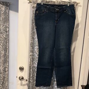 Lane Bryant Dark Blue Straight-Leg Jeans